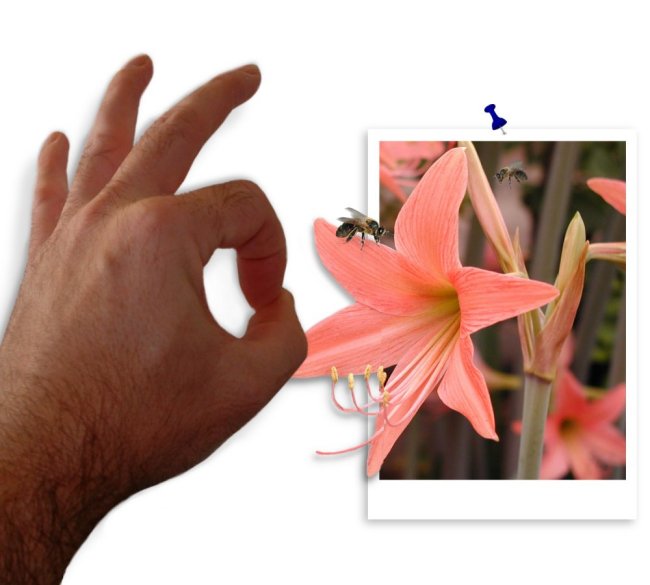 Diseño de Photoshop por SiIkenFairy para DesignCrowd (Community Contests) | Diseño #9147521