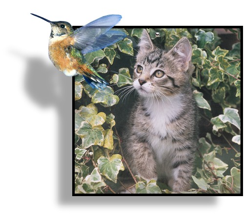 Photoshop-Design von Spoonfan für DesignCrowd (Community Contests) | Design #9147587