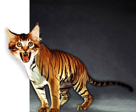 Photoshop Design by rob_church for DesignCrowd (Community Contests) | Design #9147680