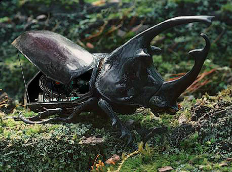 Photoshop-Design von MrArif für DesignCrowd (Community Contests) | Design #9139833