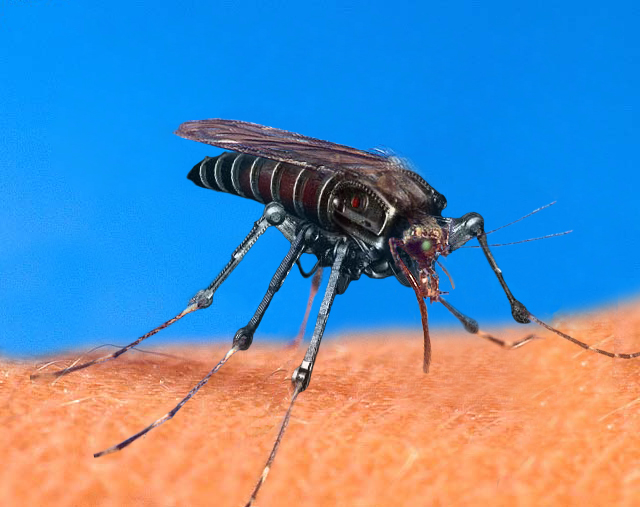 Photoshop Design by Meatlump for DesignCrowd (Community Contests) | Design #9139852