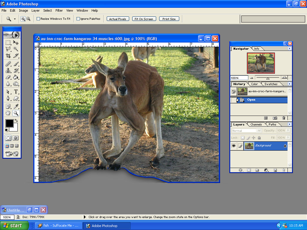 Photoshop Design by photophony for DesignCrowd (Community Contests) | Design #9147659