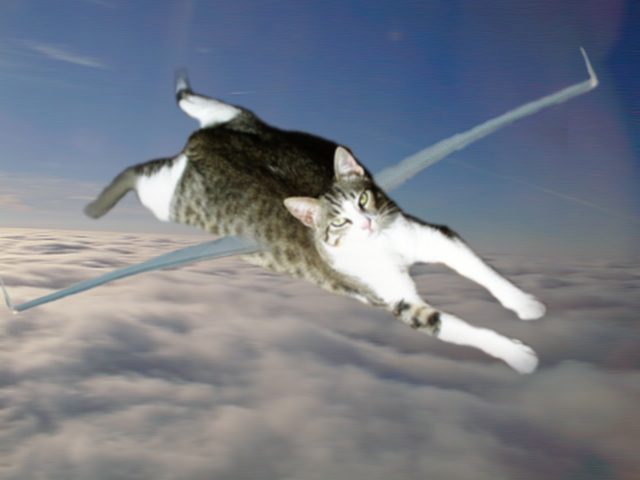 Photoshop Design by HuXXeY for DesignCrowd (Community Contests) | Design #9139923