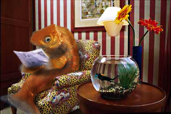 Photoshop Design by Jolt for DesignCrowd (Community Contests) | Design #9151108