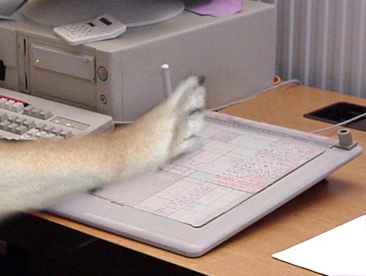 Photoshop Design by photoman for DesignCrowd (Community Contests) | Design #9151113