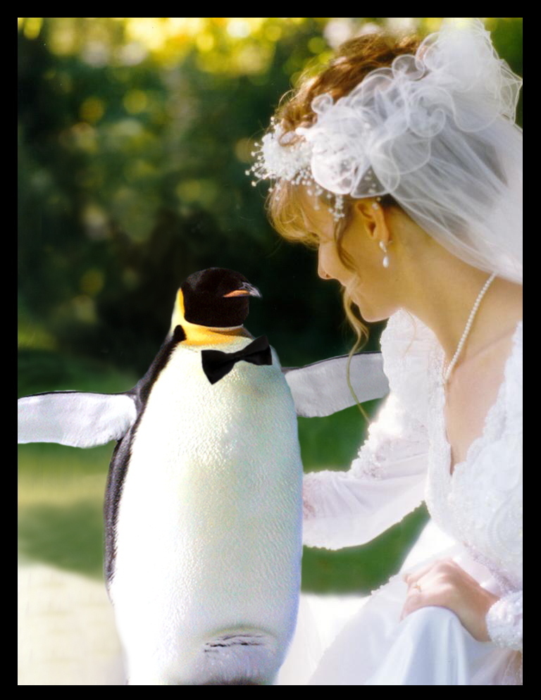 Photoshop Design by Fascha for DesignCrowd (Community Contests) | Design #9151131