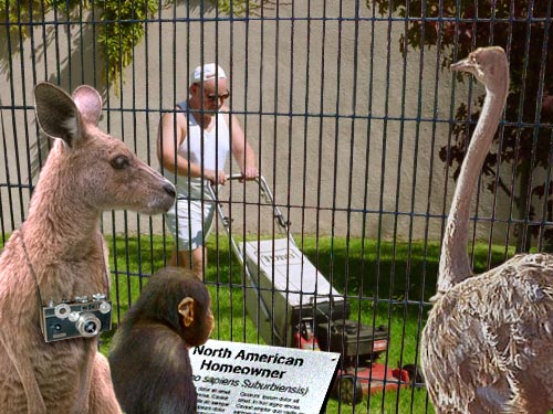 Design Photoshop par ARagMan pour DesignCrowd (Community Contests) | Design #9151184