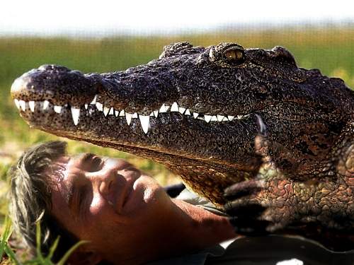 Design Photoshop par Brite pour DesignCrowd (Community Contests) | Design #9151201