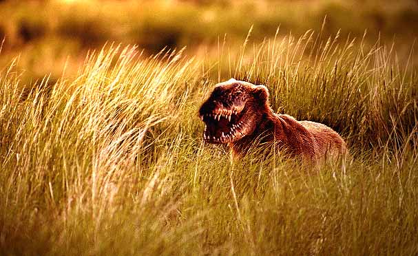 Photoshop Design by rob_church for DesignCrowd (Community Contests) | Design #9139448