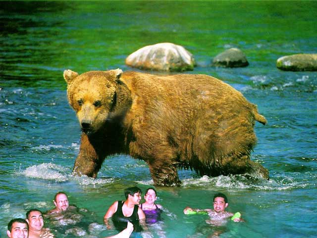 Design Photoshop par Marious pour DesignCrowd (Community Contests) | Design #9139434