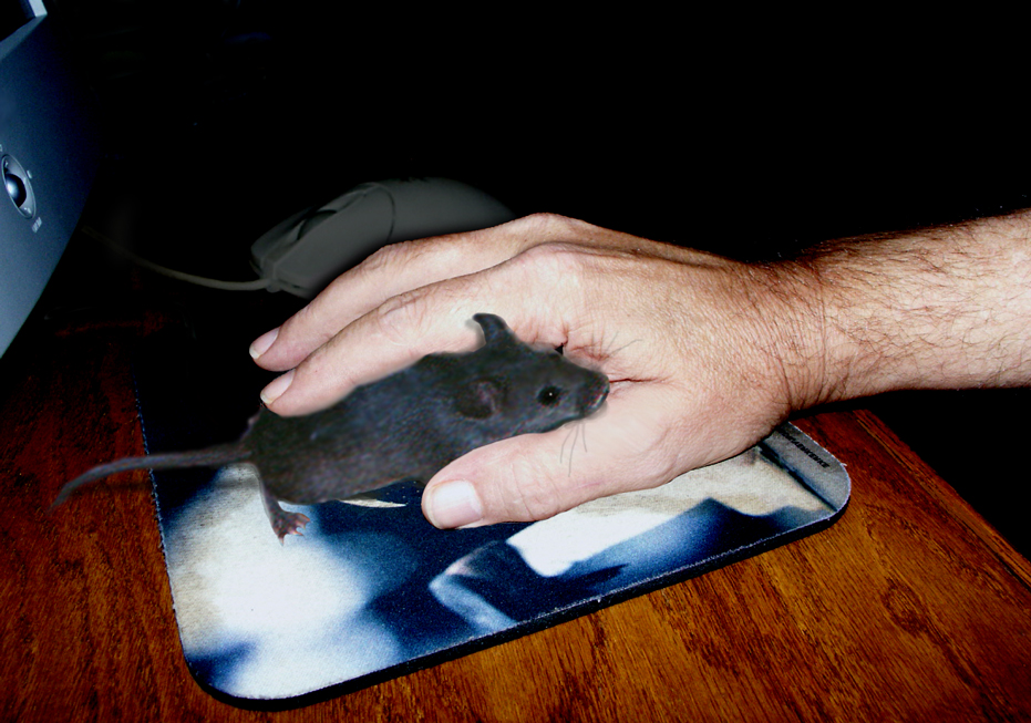 Photoshop-Design von hesredbird für DesignCrowd (Community Contests) | Design #9150009