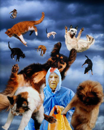 Photoshop Design by JackMack for DesignCrowd (Community Contests) | Design #9150073