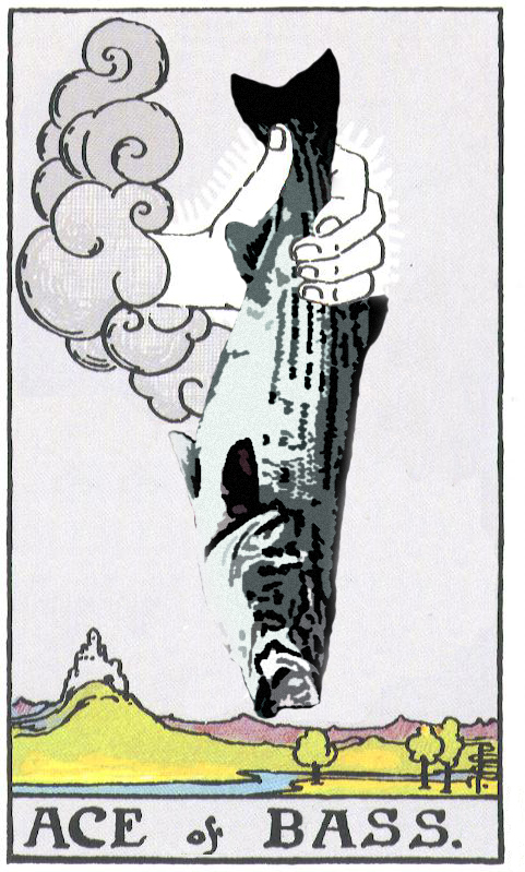 Photoshop Design by Fascha for DesignCrowd (Community Contests) | Design #9139677