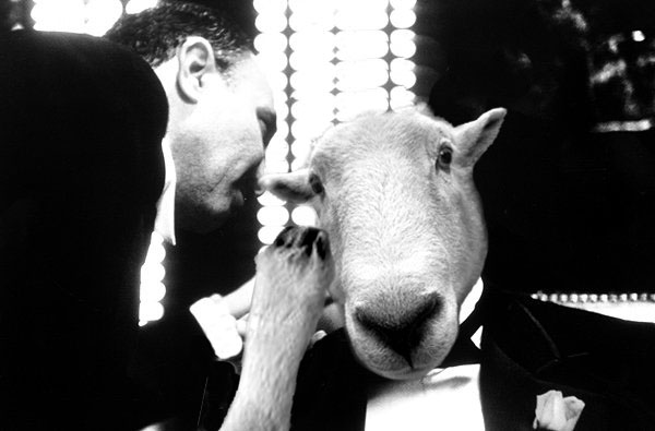 Photoshop Design by lefthand for DesignCrowd (Community Contests) | Design #9150382