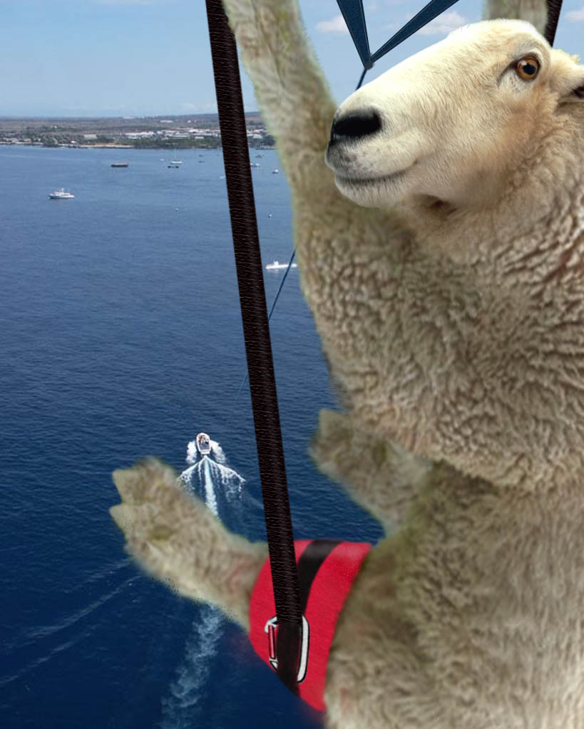 Photoshop Design by satyricon for DesignCrowd (Community Contests) | Design #9150375