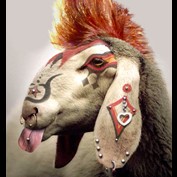 Photoshop Design by DerAlt