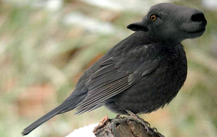 Photoshop-Design von Binder für DesignCrowd (Community Contests) | Design #9150418