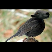 Photoshop Design by Binder