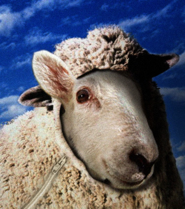 Design Photoshop par claven pour DesignCrowd (Community Contests) | Design #9150455