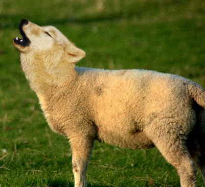 Design Photoshop par fiel pour DesignCrowd (Community Contests) | Design #9150457