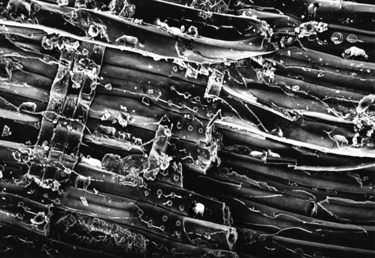 Photoshop-Design von Blipvert für DesignCrowd (Community Contests) | Design #9150501