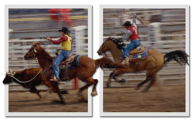 Photoshop Design by bebegreen2 for DesignCrowd (Community Contests) | Design #9140323