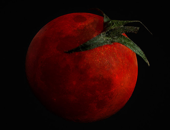 Photoshop Design by BrainSlug for DesignCrowd (Community Contests) | Design #9150022