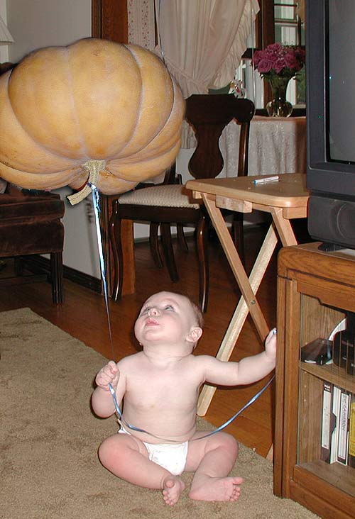 Photoshop Design by gunmetal for DesignCrowd (Community Contests) | Design #9150077