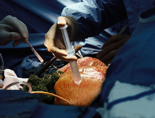 Design Photoshop par fRedline pour DesignCrowd (Community Contests) | Design #9150146