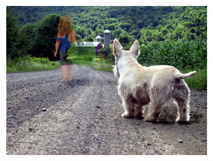 Photoshop-Design von Slime für DesignCrowd (Community Contests) | Design #9147133