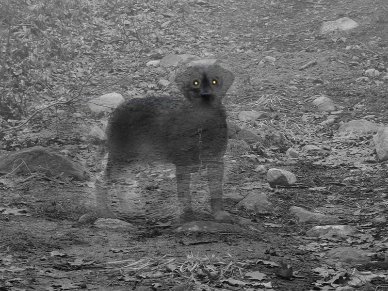 Photoshop-Design von ash2k für DesignCrowd (Community Contests) | Design #9147277