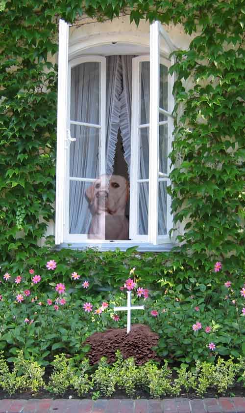 Photoshop Design by gunmetal for DesignCrowd (Community Contests) | Design #9149353