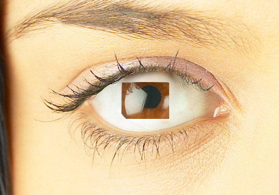 Photoshop Design by photoman for DesignCrowd (Community Contests) | Design #9150019