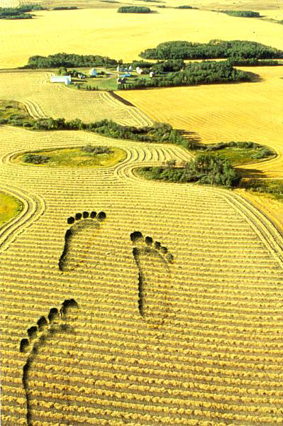 Photoshop Design by sramelyk for DesignCrowd (Community Contests) | Design #9149326