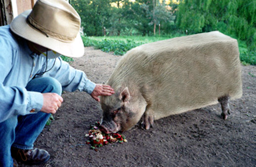 Design Photoshop par princeok pour DesignCrowd (Community Contests) | Design #9150113