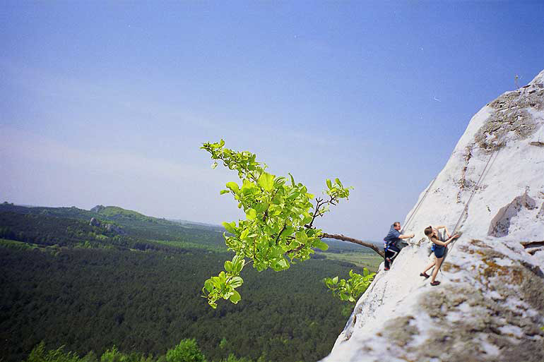 Design Photoshop par piotrek pour DesignCrowd (Community Contests) | Design #9149916