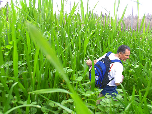 Photoshop Design by fRedline for DesignCrowd (Community Contests) | Design #9149932