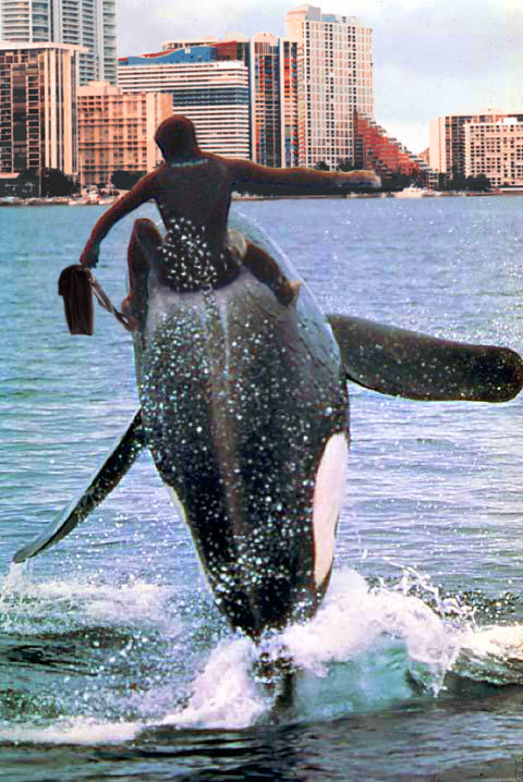 Photoshop-Design von Ghost für DesignCrowd (Community Contests) | Design #9138539