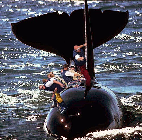 Photoshop Design by Gonzo for DesignCrowd (Community Contests) | Design #9138490