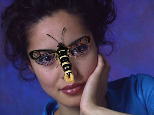 Design Photoshop par justchris pour DesignCrowd (Community Contests) | Design #9148602