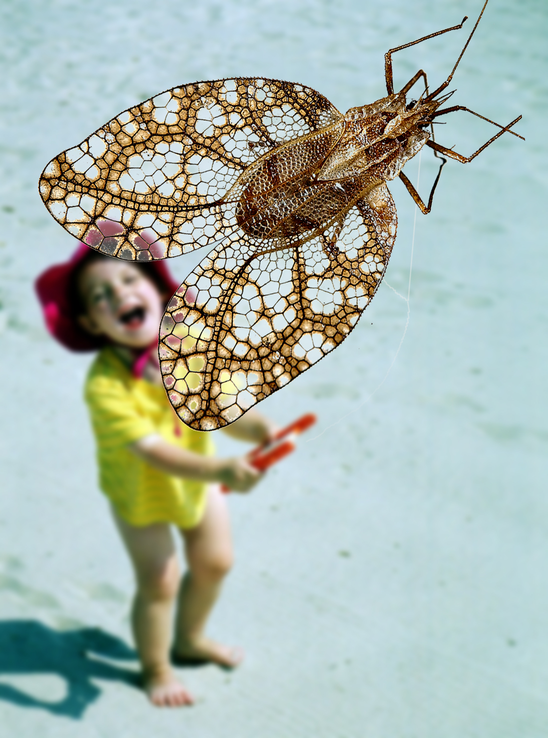 Photoshop Design by tiddlycove for DesignCrowd (Community Contests) | Design #9148621