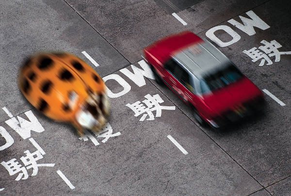 Photoshop-Design von Spoonfan für DesignCrowd (Community Contests) | Design #9148697