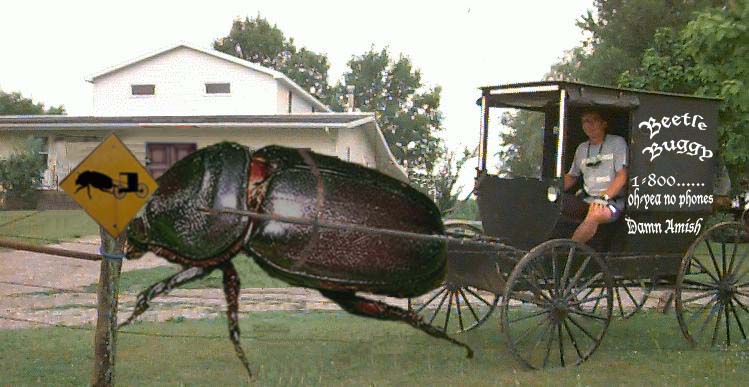 Photoshop Design by StuffMaster for DesignCrowd (Community Contests) | Design #9148710