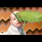 Photoshop Design by EvanTH