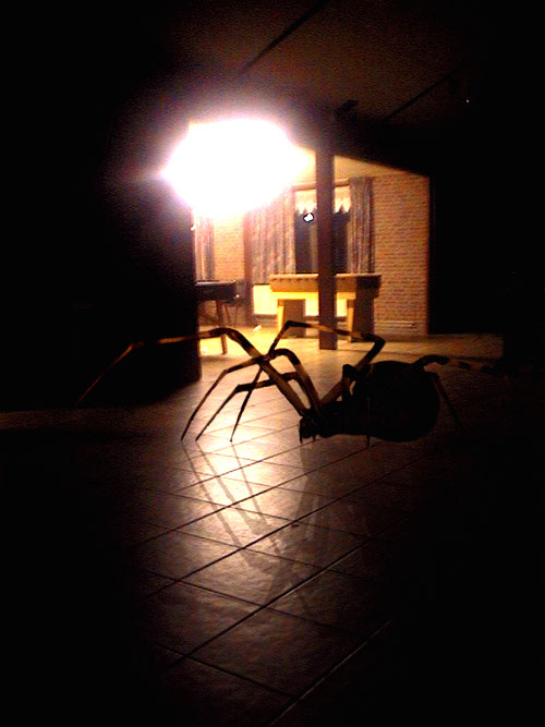 Design Photoshop par Dveil pour DesignCrowd (Community Contests) | Design #9148658