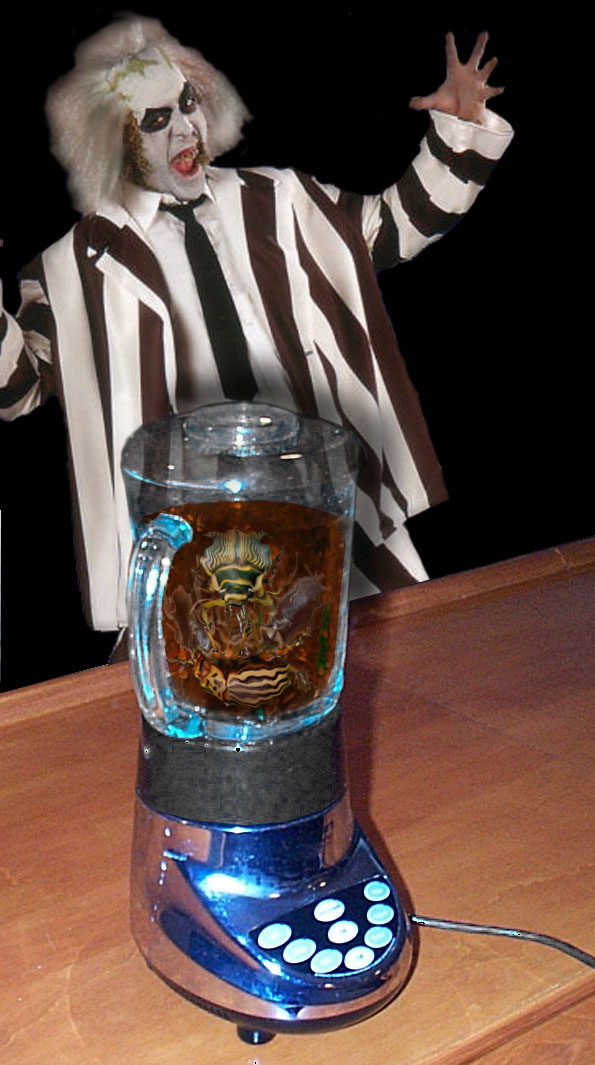 Photoshop-Design von hesredbird für DesignCrowd (Community Contests) | Design #9148703