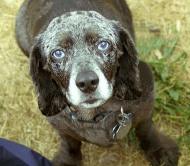 Photoshop Design by Matte1138 for DesignCrowd (Community Contests) | Design #9148901