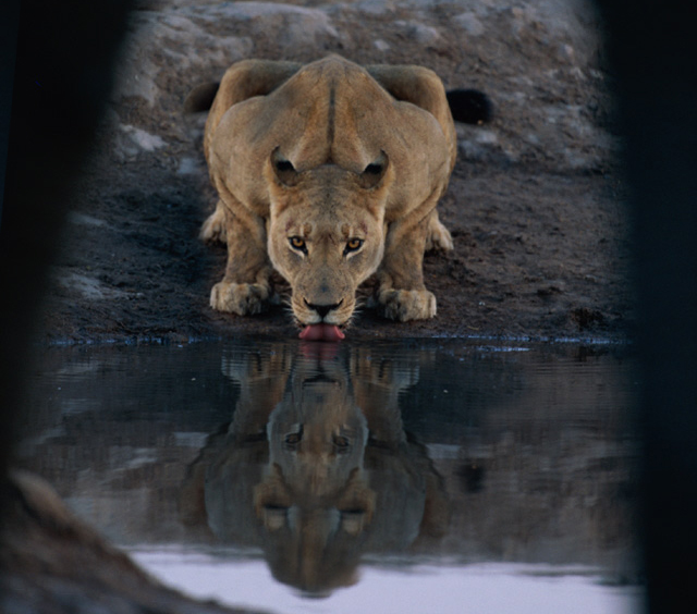 Photoshop Design by fiel for DesignCrowd (Community Contests) | Design #9148978