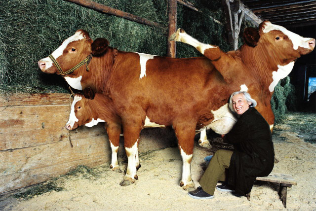 Design Photoshop par CrackerTushy pour DesignCrowd (Community Contests) | Design #9146868