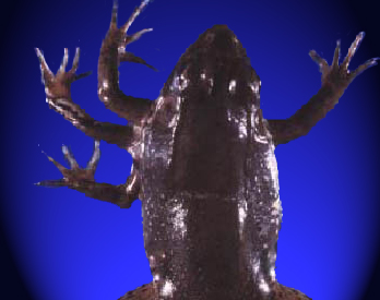 Photoshop Design by photoman for DesignCrowd (Community Contests) | Design #9146864